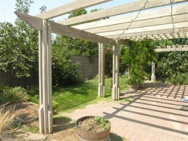 Backyard.jpg